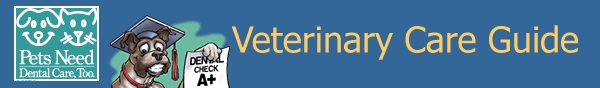 Animal Medical Clinic of Chesapeake - Veterinary Dental Care Guide