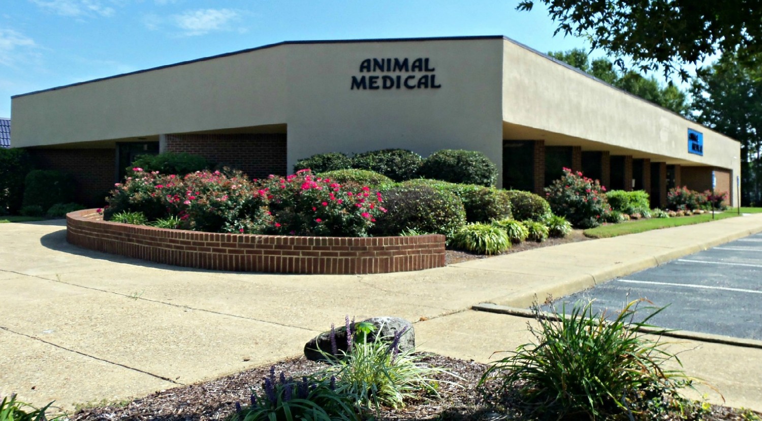 Animal Medical Clinic of Chesapeake 921 Battlefield Blvd 23320 Animal Medical Clinic of Chesapeake 921 Battlefield Blvd 23320
