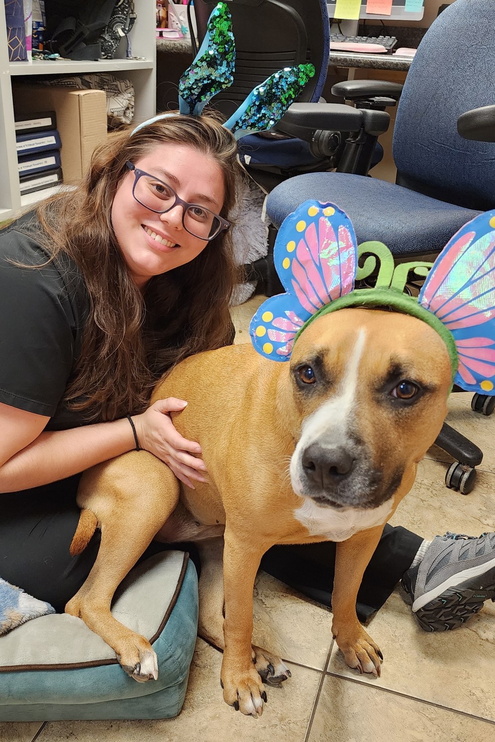 Animal Medical of Chesapeake - Melissa is a Client Care Coordinator at 921 Battlefield Blvd, Chesapeake, Va 23320
