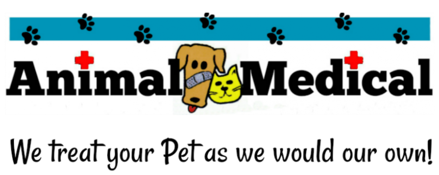 Animal Medical Clinic of Chesapeake 921 Battlefield Blvd, Chesapeake, Va 23320 is a Veterinary Hospital specializing in Fear Free, Pet Friendly care for Dogs and Cats