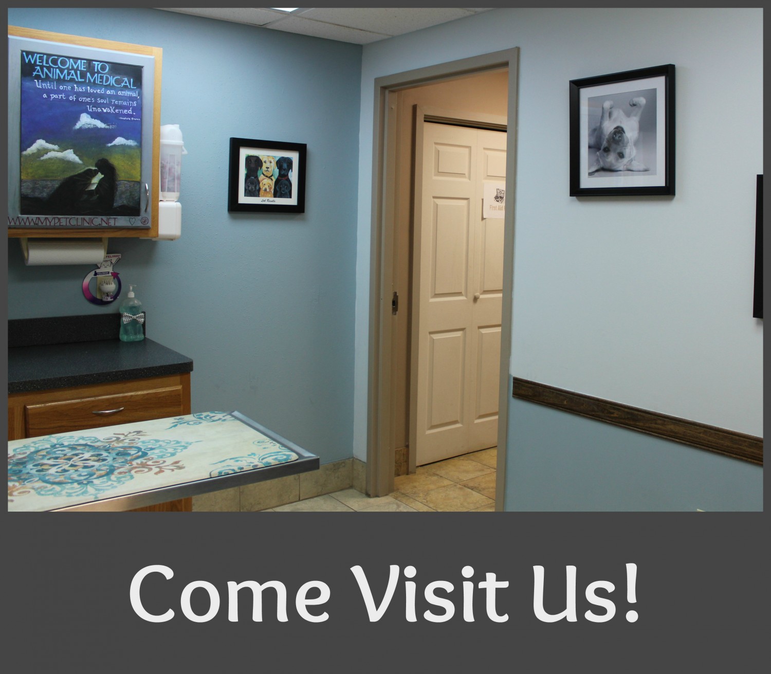 Animal Medical of Chesapeake Veterinary Hospital, 921 Battlefield Blvd, Chesapeake, Va 23320 welcomes you to visit us and leave a Review